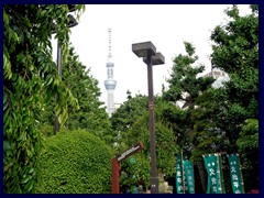 Sensoji Temple 04